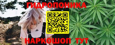 прущие грибы Малгобек
