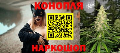 прущие грибы Малгобек