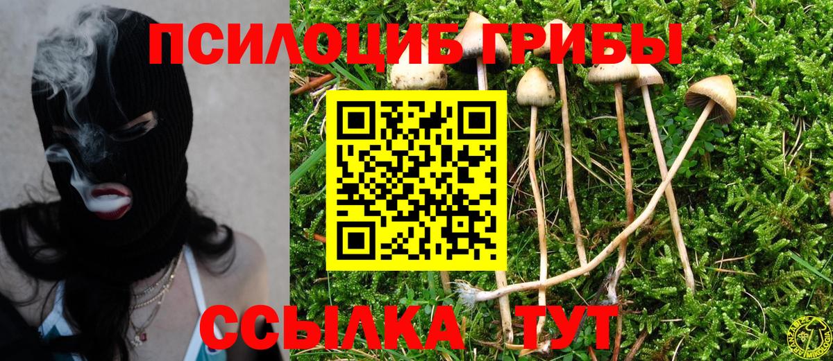 Ессентуки  Псилоцибиновые грибы MAGIC MUSHROOMS  Вход с VPN  Галлюциногенные грибы мицелий 